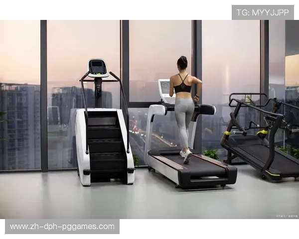 预算党必藏500+张室内健身器材实拍图与选购解析